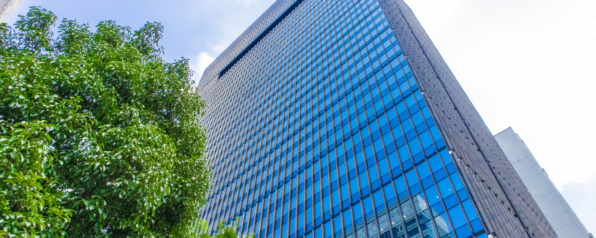 協会についてページのメイン画像